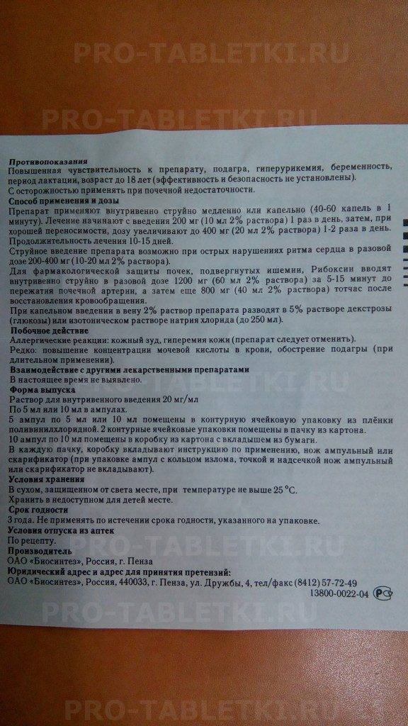 Как давать рибоксин кошке? - zhivomag