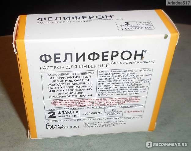 Какими лекарствами лечат котов - муркин дом