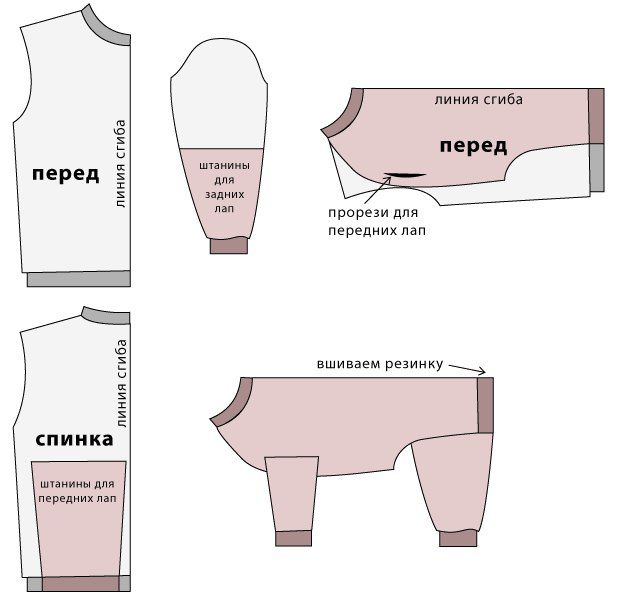 Как сделать одежду для кошки своими руками, подробная инструкция
