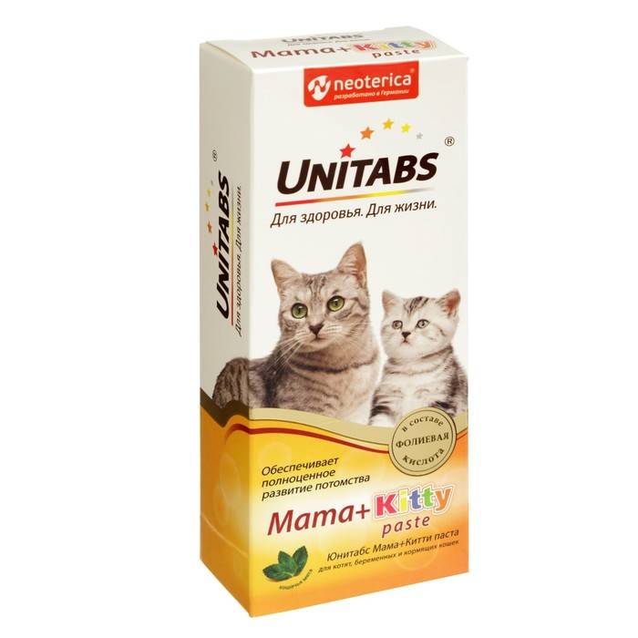 Витамины для кошек: поддерживаем здоровье питомцев правильно