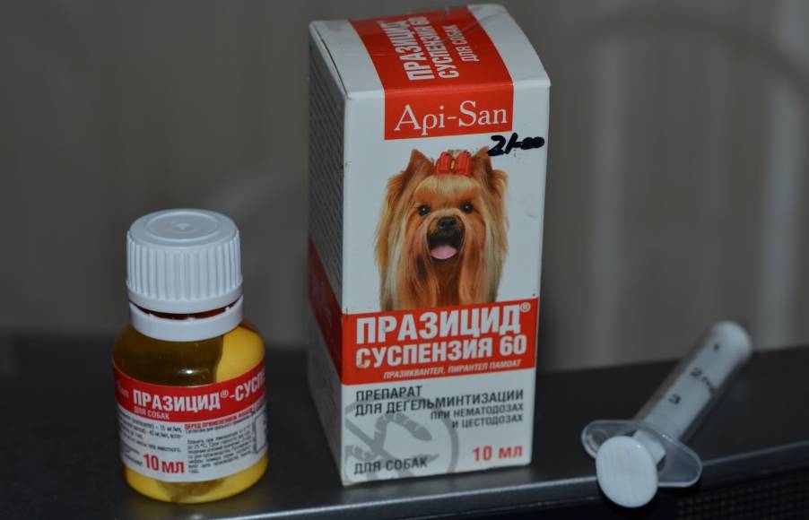 Через сколько дней можно делать прививку собаке после глистогонк?