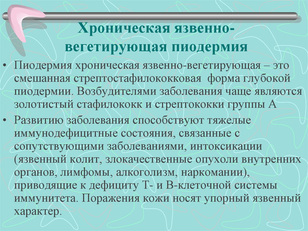 Пиодермия у собак: лечение и симптомы болезни, группа риска - kotiko.ru