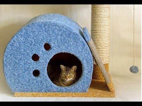 Как сделать домик для кошки своими руками - выбор конструкции, уникальные советы, идеи и фото примеры