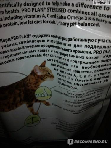 Корма для кошек: виды, классы, отзывы ветеринаров | сайт «мурло»