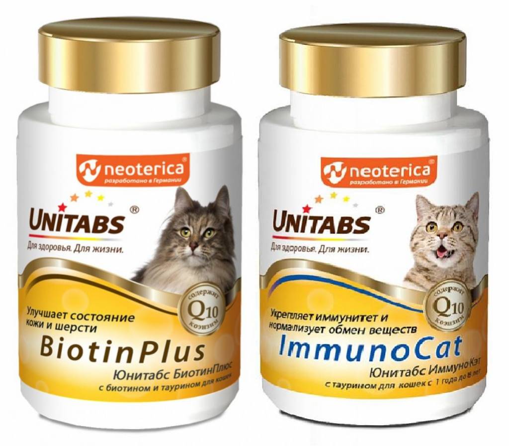 Витамины для шерсти для кошек | лучшие, отзывы ветеринаров