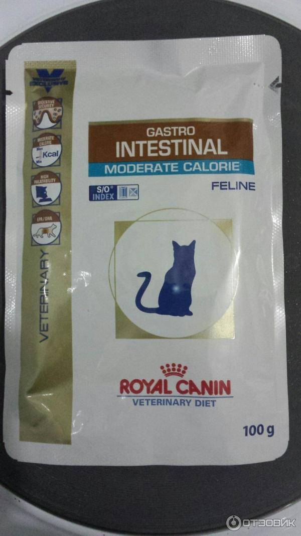 Royal canin moderate calorie для кошек. Роял Канин гастро Интестинал для кошек влажный. Роял Канин Уринари для кошек лечебный. Роял Канин гастро Интестинал модератор калорий для кошек. Гастроинтестинал модератор калорий Роял Канин для кошек.