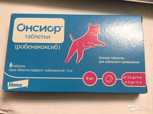 Противовоспалительные средства для кошек