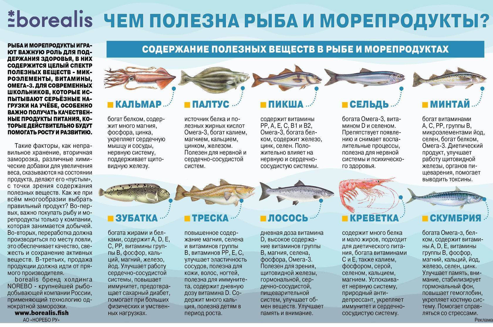 Можно ли кормить кошку рыбой: все о пользе и вреде данного продукта