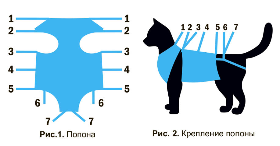 Меняется ли поведение и характер кошки после стерилизации?