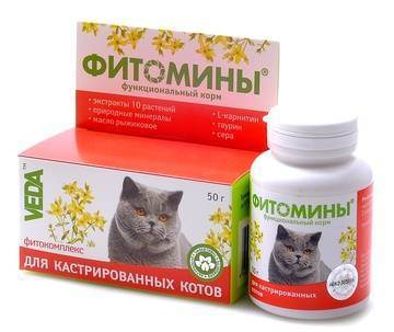Симптомы мочекаменной болезни у котов и кошек, лечение в домашних условиях, профилактика уролитиаза