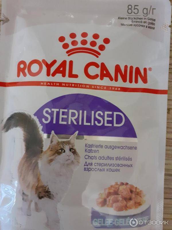 Royal canin sterilized. Роял Канин для стерилизованных кошек 1+. Роял Канин для стерилизованных кошек влажный корм. Royal Canin Sterilised влажный. Роял Канин Стерилайзд для котов.