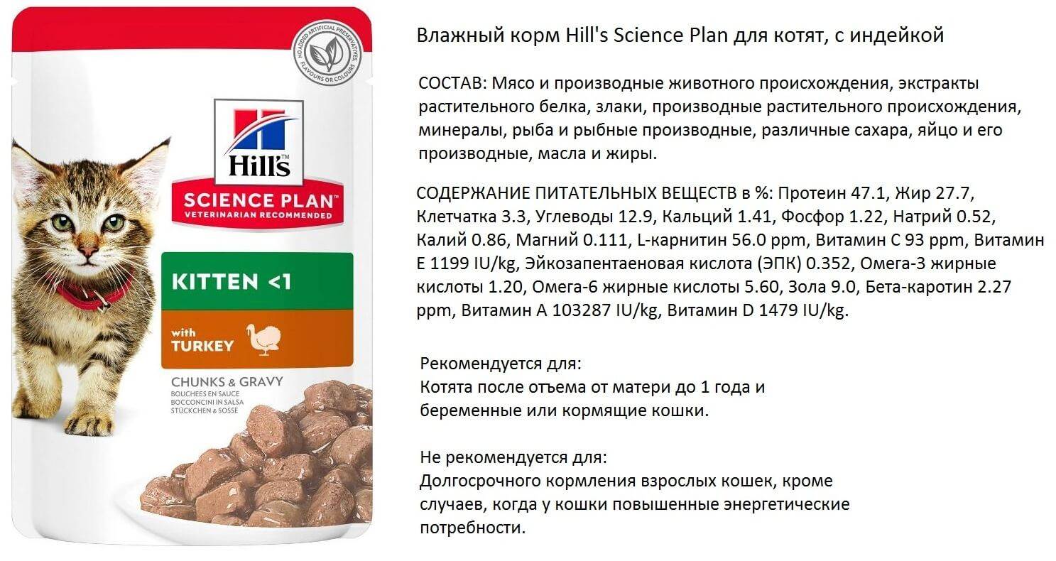 Корм Хиллс для кошек: состав ветеринарного лечебного кормления