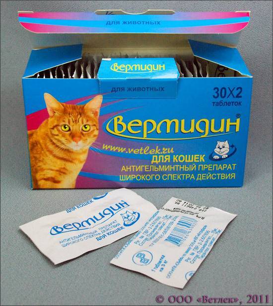 Обезболивающие для кошек в домашних условиях: разрешенные препараты