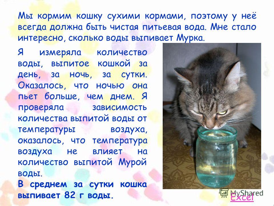 Как заставить кошку пить воду — 10 эффективных советов! — сайт эксперта по животным — howmeow