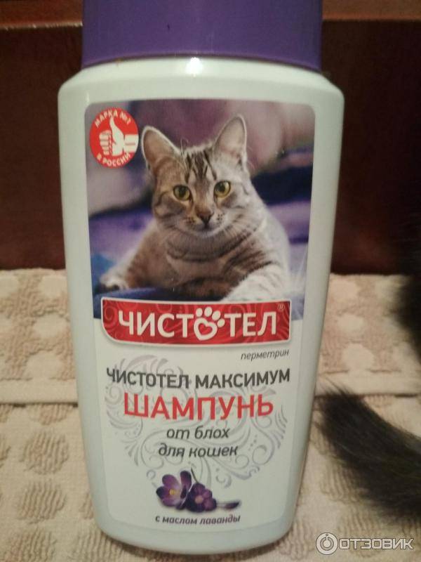 Шампуни от блох для котят, а также другие виды средств русский фермер