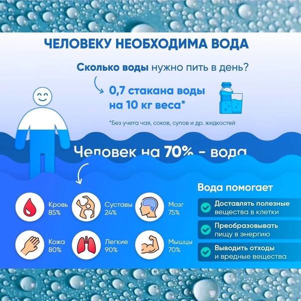 ᐉ дневная норма воды для кошки - ➡ motildazoo.ru