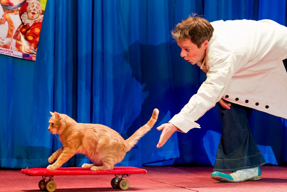 Юрий куклачев - биография, новости, личная жизнь