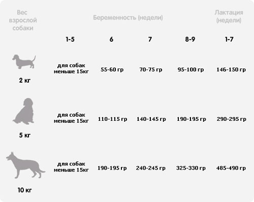 Чем кормить щенка мопса в возрасте 2-3 недель и 1, 2, 3, 4, 5 и 6 месяцев? как правильно выстроить режим питания и сколько раз в день давать пить?