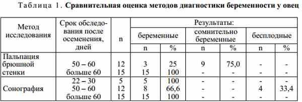 Как правильно рассчитать сколько может длиться беременность у кошки (видео)