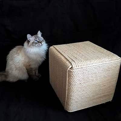 Когтеточка для кошек и котов своими руками: как сделать в домашних условиях, пошаговая инструкция, схемы, фото, размеры, выбор материалов