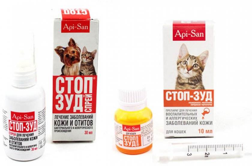 Стоп-зуд для кошек: от укусов и аллергии