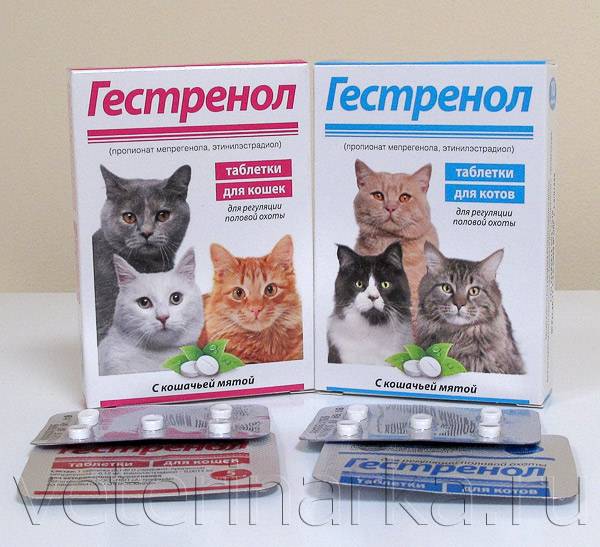Гестренол, капли и таблетки для кошек и котов: инструкция по применению препарата