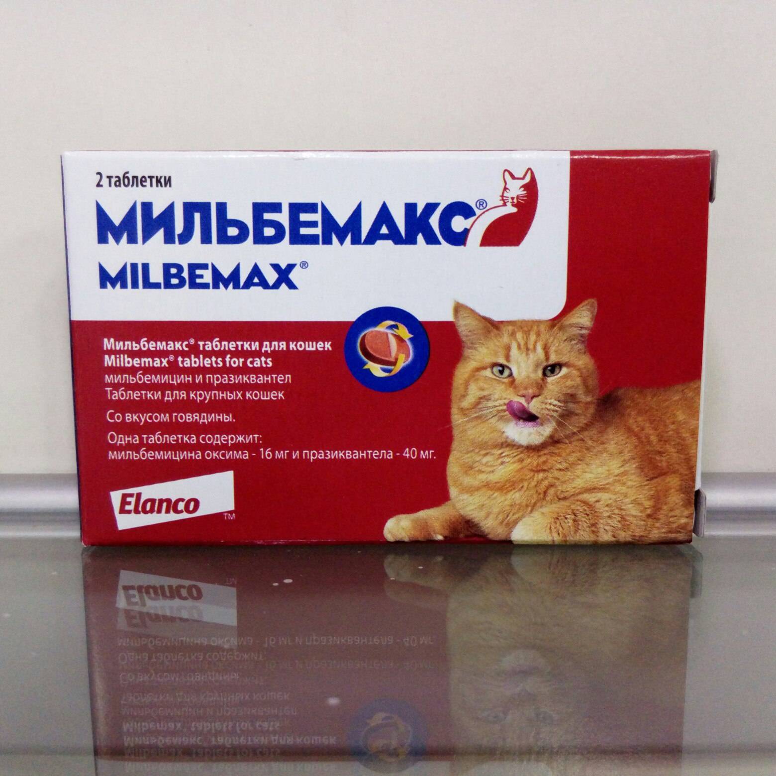 Способ применения таблеток от глистов мильбемакс для кошки, дозировка
