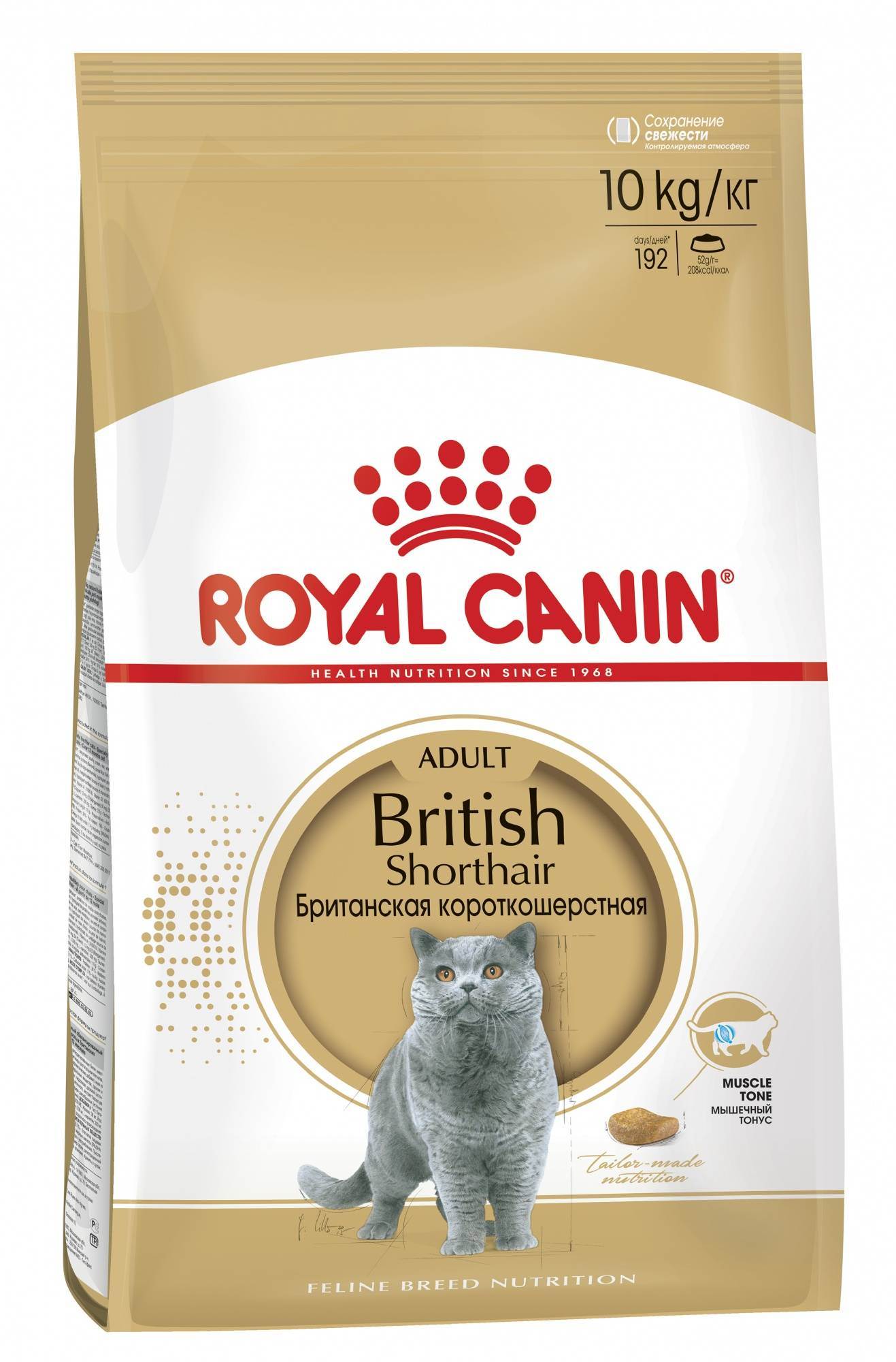 Чем кормить британского кота