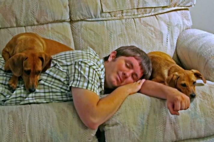Собака спит на кровати: что говорят ученые