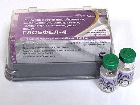 Витафел с для кошек: инструкция по применению, отзывы, аналоги