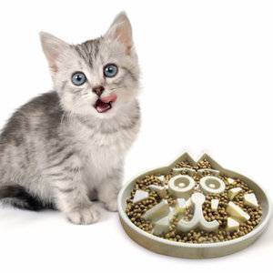 Натуральное питание для кошек: чем кормить котов в домашних условиях? правила кормления натуральным кормом. рецепты пищи для кошек
