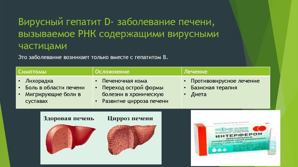 Лечение папиллом и бородавок у собак: в ухе, на губе, на шее и теле - kotiko.ru
