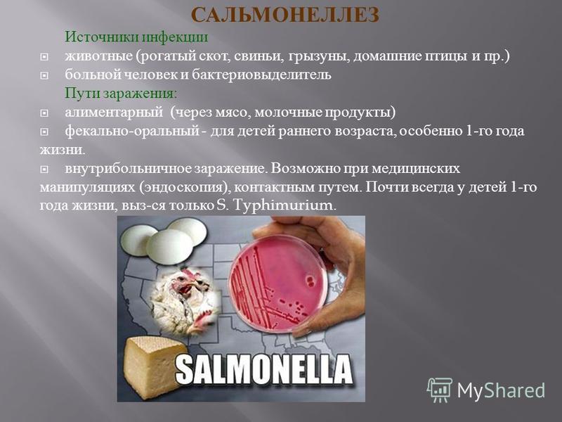 Сальмонелла (сальмонеллез): симптомы, диагностика, лечение