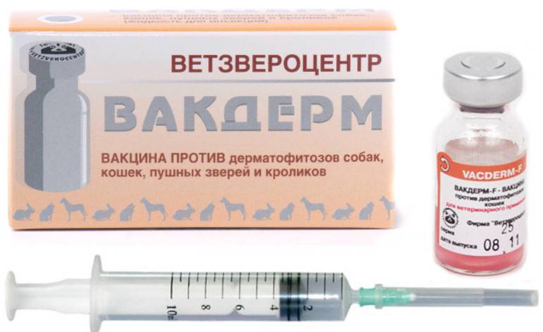 Вакдерм - вакцина для кошек: инструкции, цены и отзывы