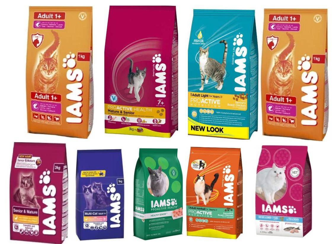 Влажный (жидкий) корм для кошек: какой самый лучший по отзывам ветеринаров, виды (желе, консервы, прочее) и состав в зависимости от класса