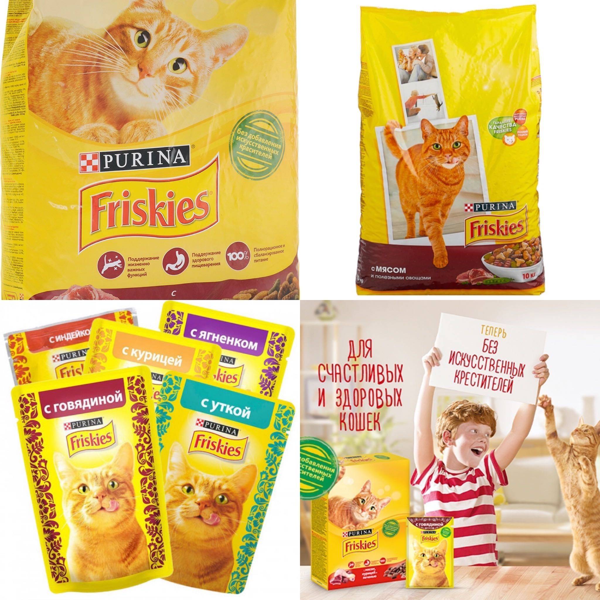 Friskies (фрискис): обзор корма для кошек, состав, отзывы