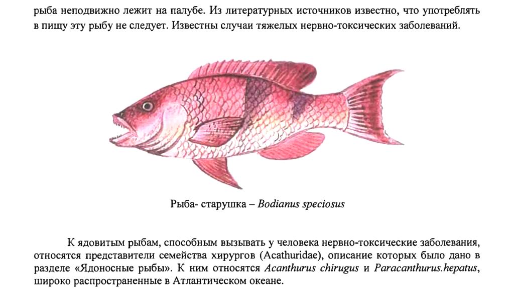 Можно ли кошкам рыбу с костями: острые и опасные. — обсуждение в группе "кошки" | птичка.ру