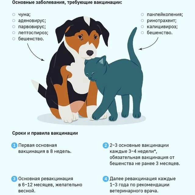 Депрессия у собак и кошек