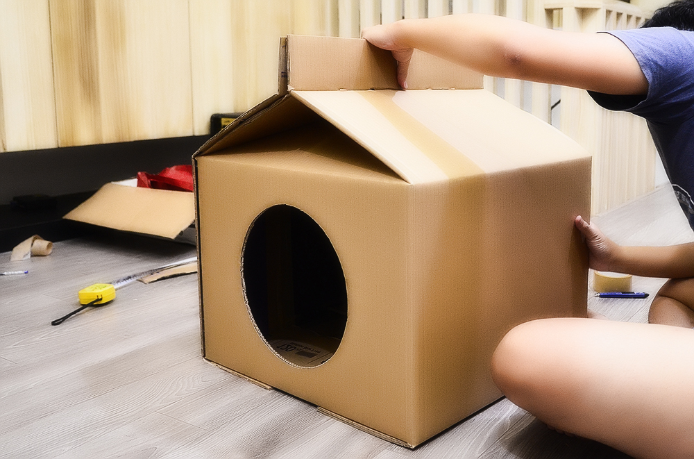 Домик для кошки из картонной коробки своими руками: примеры и пошаговые инструкции | звери дома