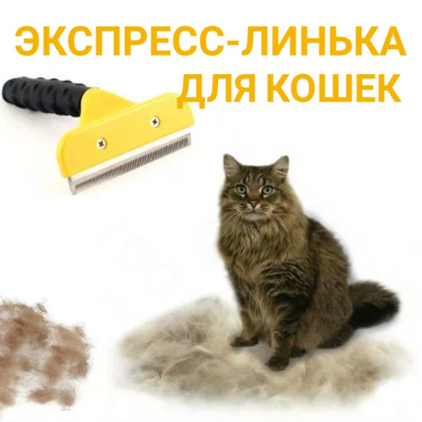 Экспресс линька для кошек