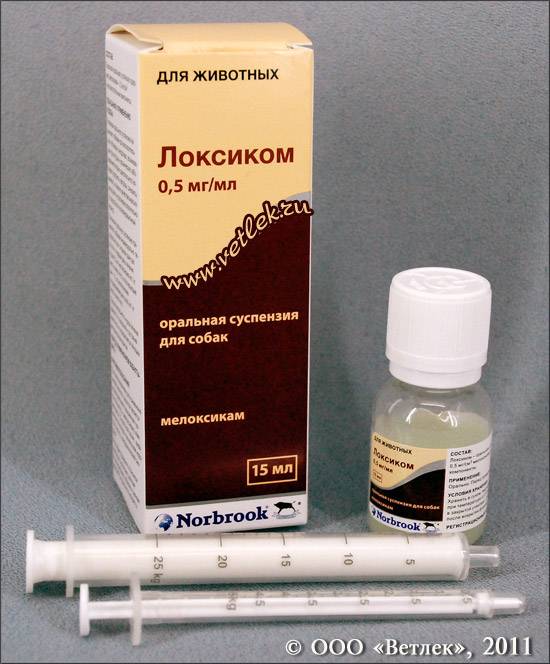 Инструкция по применению Локсикома для кошек