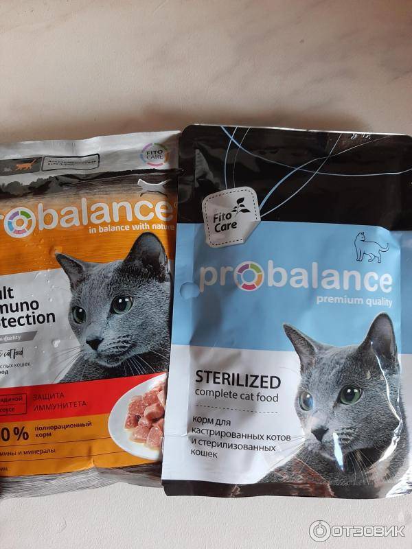 Корм для кошек "пробаланс": отзывы, рекомендации ветеринаров, состав и виды корма