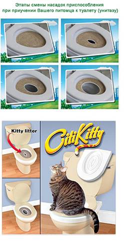 Как приучить котенка к туалету в квартире (способы приучения к унитазу и обзор популярных средств)