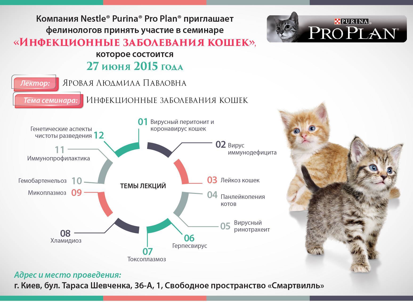 Хламидиоз у кошек | фото, симптомы, лечение, профилактика.