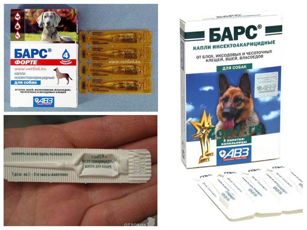 Средства барс от клещей для собак: капли, спрей, ошейники - инструкции и отзывы