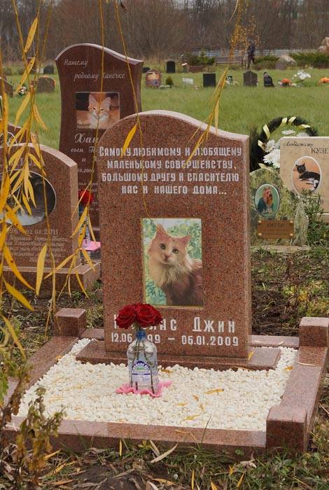 Похороны домашних животных москва
