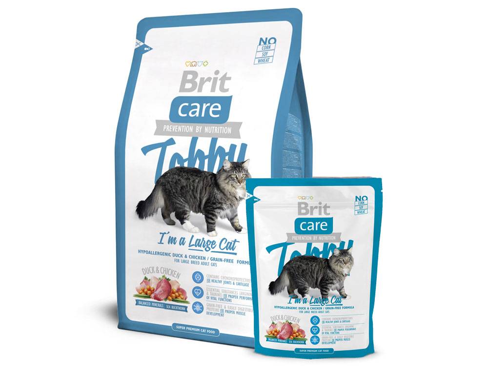 Корм для кошек brit: отзывы и рекомендации ветеринаров