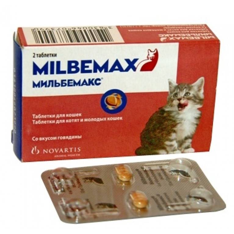 Мильбемакс для кошек и котят: инструкция по применению, аналоги, отзывы