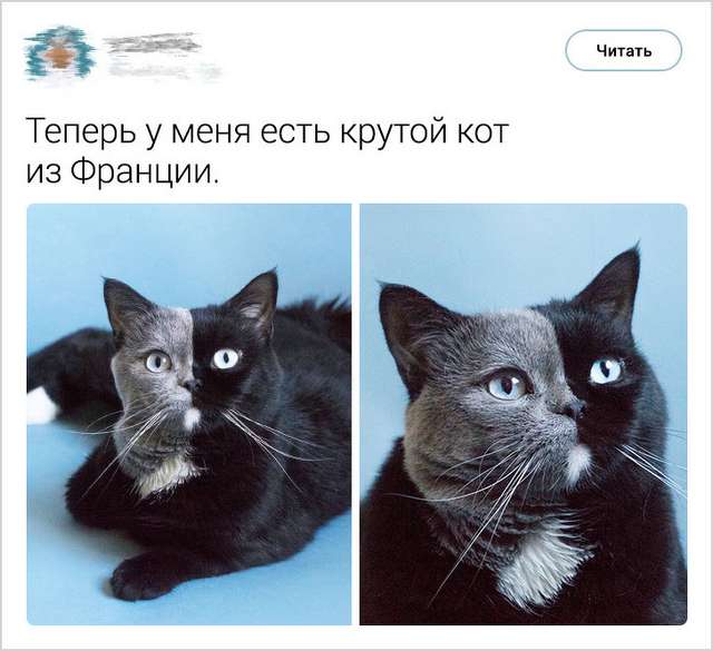 Как общаться с токсичными родителями: 6 шагов к личным границам — нож