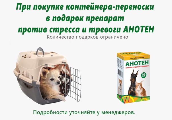 Инструкция по применению азикана у кошек и собак. рассчитайте оптимальную дозу препарата. изучите широту антибактериального эффекта азикана для мелких домашних животных. улучшите эффективность терапии на 200%